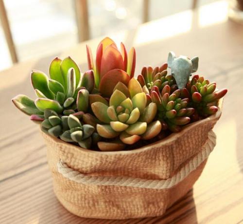 ÌØÀÊÆÕÇ©ÊðÐÂÒ»ÂÖÖ§³ö·¨°¸Ó¦¶ÔÈÕÇ÷¶ñ»¯Ð¹ÚÒßÇé