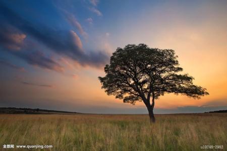 ÉòÑô1ÀýÎÞ֢״תȷÕï ϵ´Ëǰ¾³ÍâÊäÈ벡ÀýÃܽÓÕß