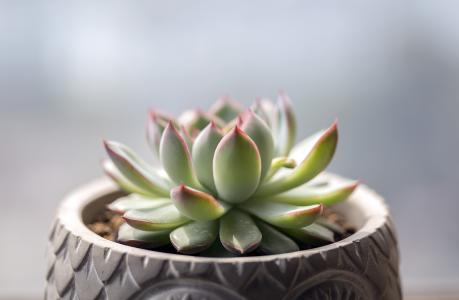 Á½²¿ÃÅ£ºÆÆ½âÉçÇø×ãÇò³¡µØÉèÊ©½¨ÉèÁù´óÄѵãÎÊÌâ