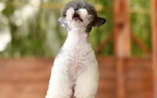 ÖйúάºÍ¹Ù±øÔÚÁªÀ貿¶ÓÒ½ÁƾÈÔ®ÑÝÁ·ÖдóÏÔÉíÊÖ