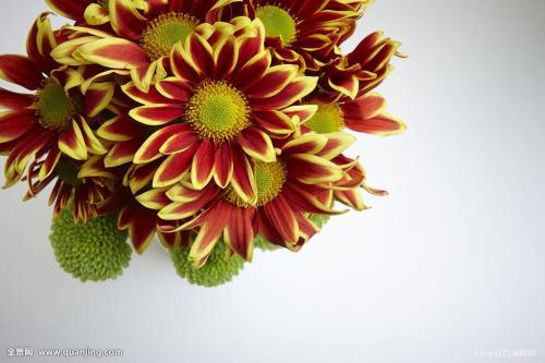 ŲÍþÊ×¶¼°Â˹½¸½½ü·¢ÉúɽÌ廬ÆÂÖÁÉÙ15ÈËʧ×Ù