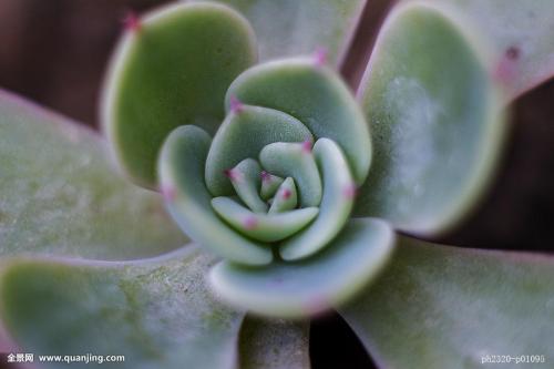 ±±¾©Æô¶¯¶ÔÅú·¢Êг¡µÈÿÈÕ¼à²â»úÖÆ È·±£¹©Ó¦Îȶ¨