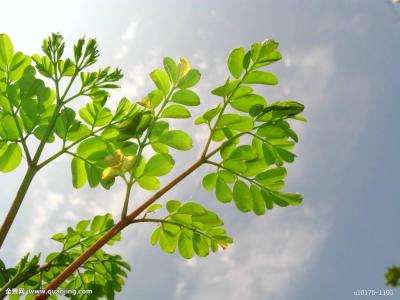 ÈËÉ粿£º¼á¾ö·À·¶¡¢¼°Ê±»¯½â¸÷ÀàǷнì¶Ü¾À·×