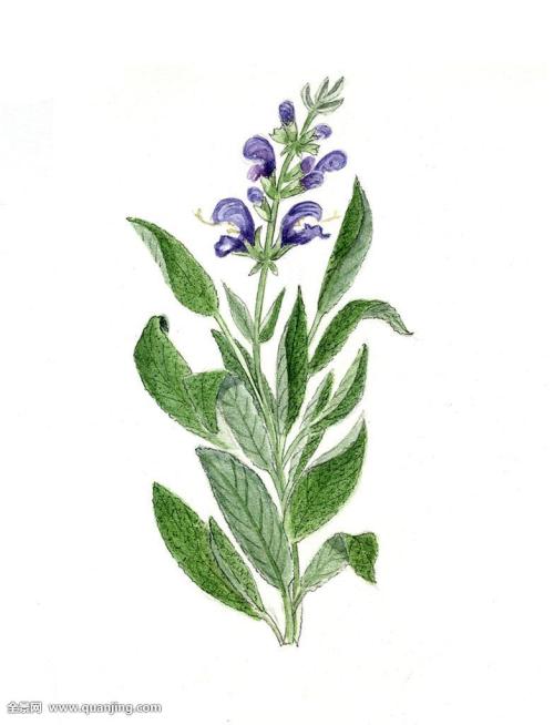 ÚöáÁ´óÒØÂ«É½¹²½¨°ÍÊñÎÄÂÃ×ßÀÈ ×ÜͶ×Ê324.4ÒÚÎÄÂý»Í¨ÏîĿǩԼ