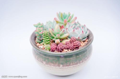 ºÓÄÏÂåÑô³öÍÁ¼ÍÄêÆ÷Îï »ù±¾È·ÈÏĹÖ÷Ϊºº»¸µÛ